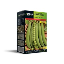 SEMILLAS GUISANTE ENRAME VAINON 250 GR