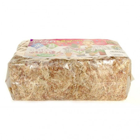 SPHAGNUM MUSGO DESHIDRATADO BOLSA 150 GRAMOS
