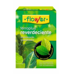 REVERDECIENTE 1 KILO