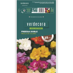 BULBOS FRESIA DOBLE MEZCLA VERDECORA 25 UDS