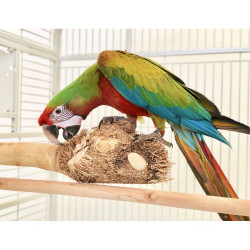 PERCHA JUEGO BAMBÚ XL