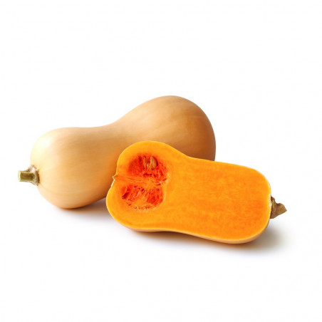 CALABAZA CACAHUETE EN MACETA
