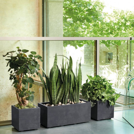 MACETA CUBO MILLENNIUM ANTRACITA CON RESERVA DE AGUA