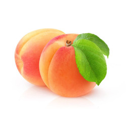 ALBARICOQUERO 10L RESIDUO CERO VERDECORA