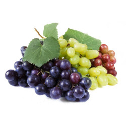 PARRA 10L RESIDUO CERO VERDECORA