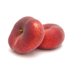 PARAGUAYO 10L RESIDUO CERO VERDECORA