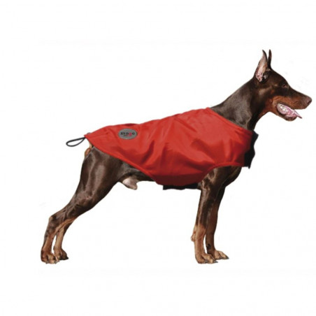 ABRIGO RAIN XT-DOG ROJO