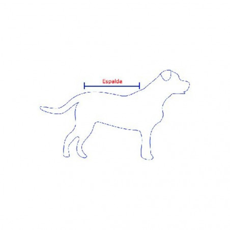 ABRIGO RAIN XT-DOG ROJO