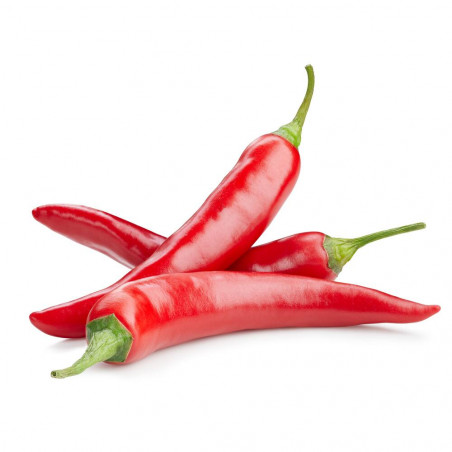 GUINDILLA MACETA 11CM