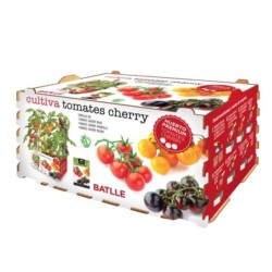 KIT DE SIEMBRA TOMATES CHERRY