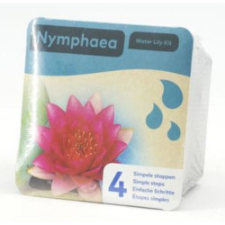 KIT 4 PASOS PLANTACIÓN NENUFAR ROJO