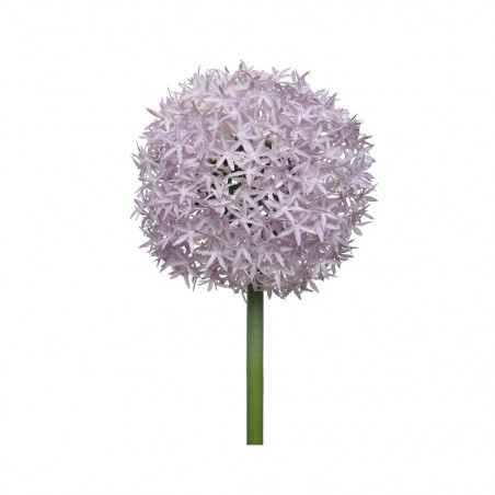 ALLIUM ARTIFICIAL LILA 81CM TALLO