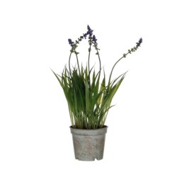 LAVANDA ARTIFICIAL MORADA 30CM MACETA