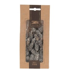 PIÑAS DE ABEDUL 50GR