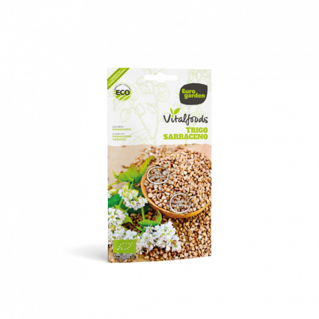 SEMILLAS TRIGO SARRACENO VITALFOOD ECO