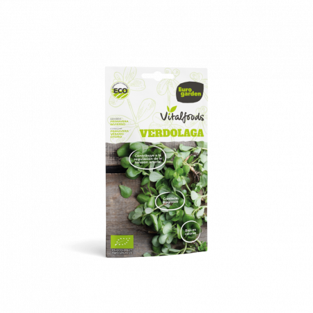 SEMILLAS VERDOLAGA VITALFOOD ECO