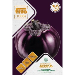 BERENJENA JESSY  F-1 PREMIUM