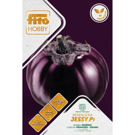 BERENJENA JESSY  F-1 PREMIUM