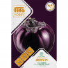 BERENJENA JESSY  F-1 PREMIUM