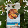 ROSAL MEILLAND ESPALDERA MACETA 3 LITROS