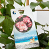 ROSAL MEILLAND ESPALDERA MACETA 3 LITROS