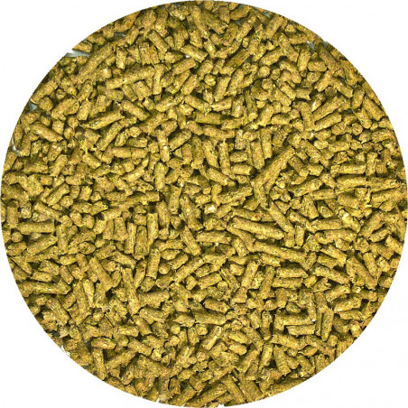 ALIMENTO POGONA JUVENIL