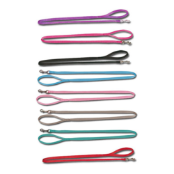 CORREA PERRO BÁSICA