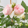 ROSAL PERFUMADO TREPADOR GRANDIFLORA 5 LITROS