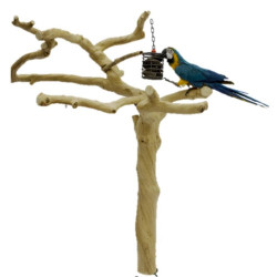 ÁRBOL DE JAVA PARA LOROS - RAMAS SIN PIE 