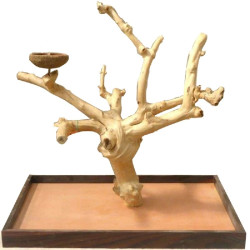 MINI ÁRBOL DE JAVA PARA LOROS