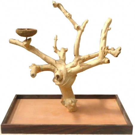 MINI ÁRBOL DE JAVA PARA LOROS