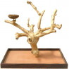 MINI ÁRBOL DE JAVA PARA LOROS