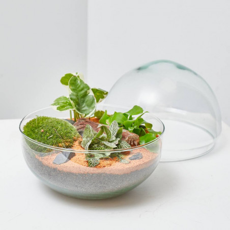 TERRARIO MINI MONDE M DIÁMETRO 20CM