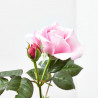 ROSA CRAZY IN LOVE PINK 