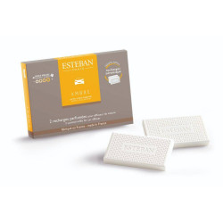 RECAMBIO AMBIENTADOR COCHE AMBAR