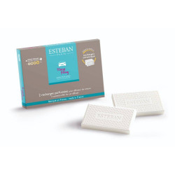 RECAMBIO AMBIENTADOR COCHE YLANG YLANG