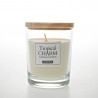 VELA TROPICAL CHARM 130GR VERDECORA