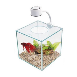 MARINA BETTA CUBUS KIT BETTERA 3,4L