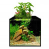 Acuario kit afarm