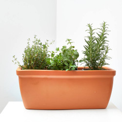 MIX CHEF JARDINERA 40CM