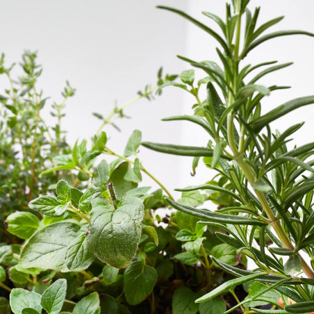 MIX CHEF JARDINERA 40CM