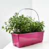 MIX MENTAS JARDINERA 40CM