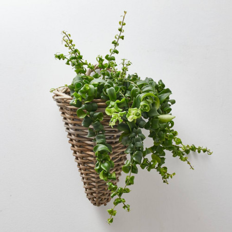 CESTO PARA PARED MIMBRE CON PLÁSTICO 25X22X32CM