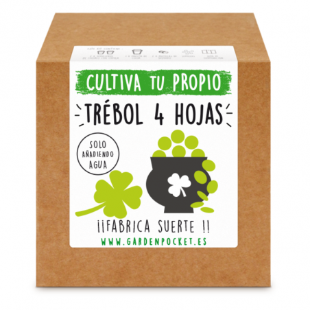 KIT CULTIVO CAJA TREBOL 4 HOJAS
