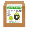 KIT CULTIVO CAJA TREBOL 4 HOJAS
