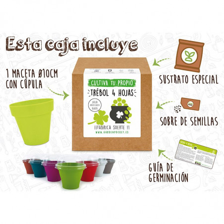 KIT CULTIVO CAJA TREBOL 4 HOJAS