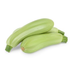 CALABACÍN BLANCO EN MACETA