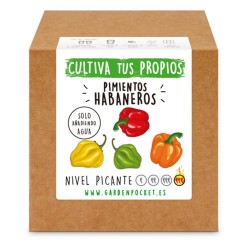 PIMIENTO HABANERO CAJA KIT CULTIVO