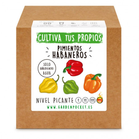 PIMIENTO HABANERO CAJA KIT CULTIVO