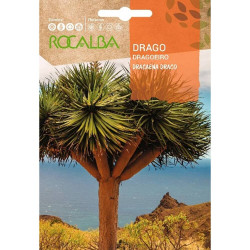 SEMILLAS DRAGO
